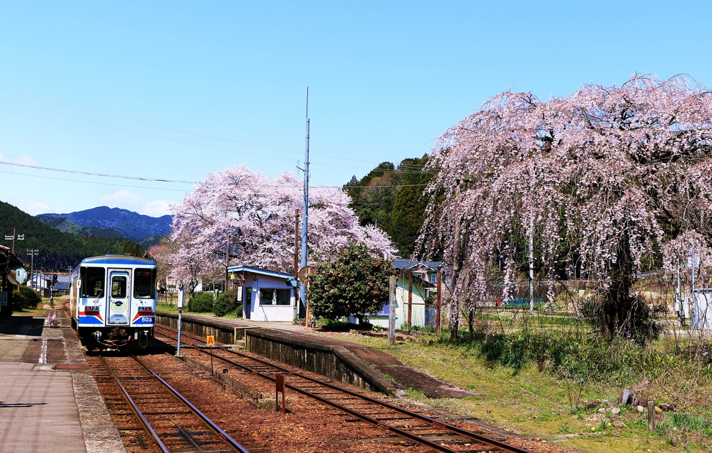桜ホーム