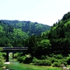Green-World