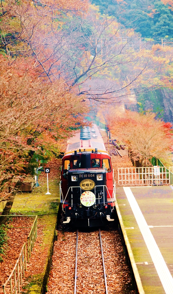 紅葉列車