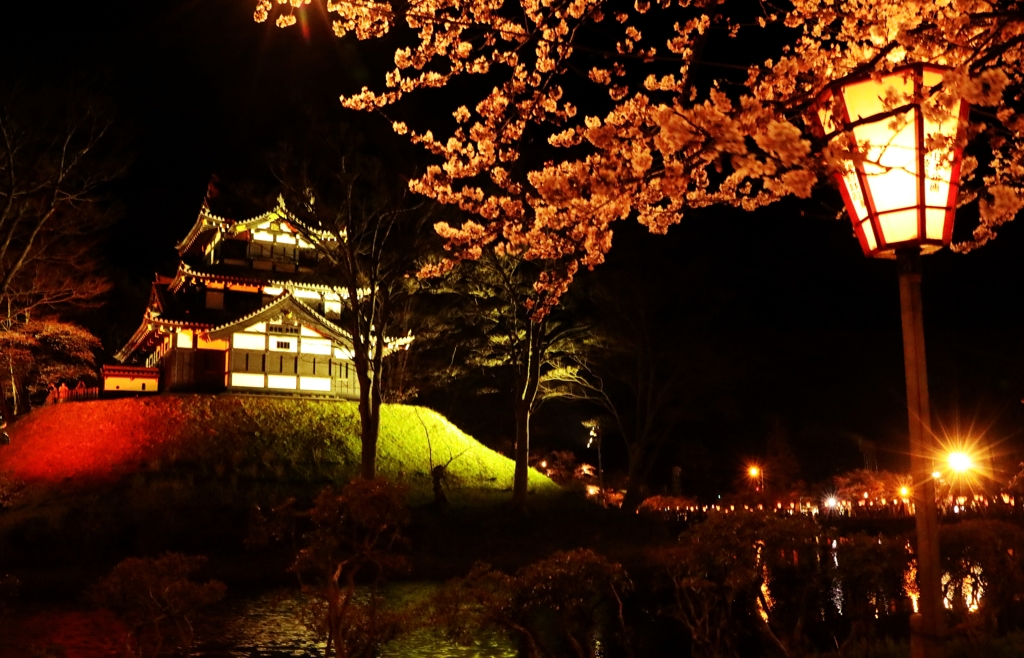 高田城 夜桜