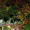 戦国列車で行く紅葉の旅