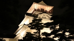 富山城ライトアップ