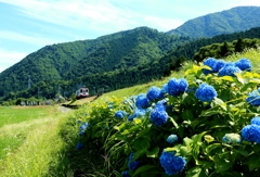 梅雨の晴れ間