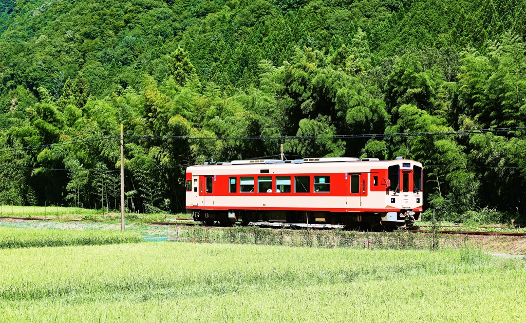 里山を行く