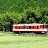 里山を行く