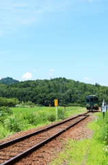 夏の信楽高原鉄道