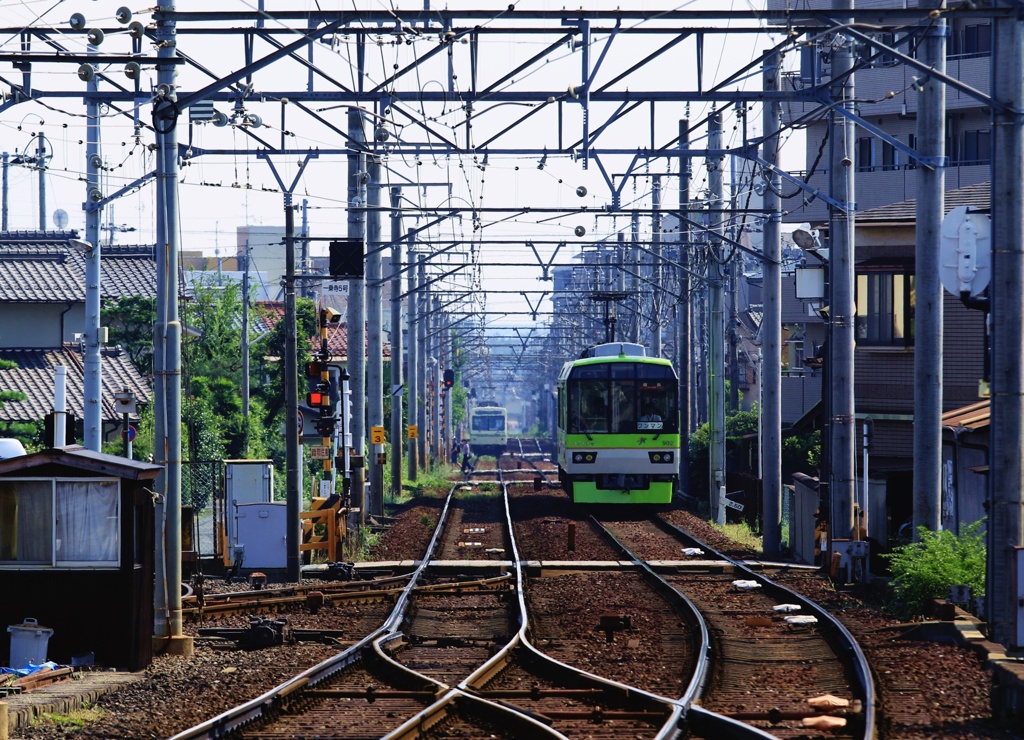 市街地で「きらら」光る