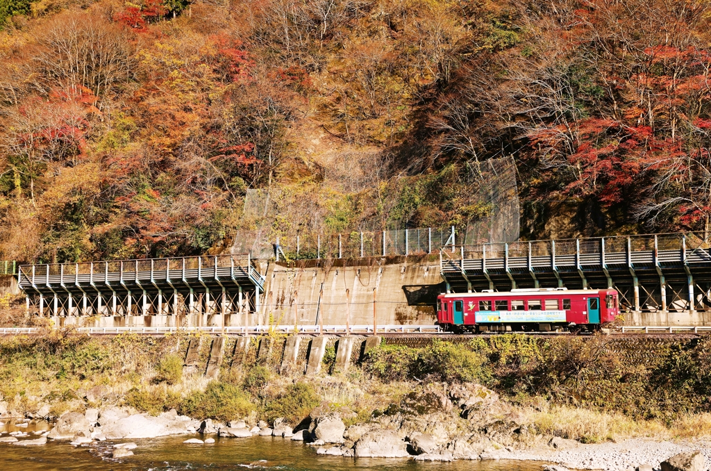 秋色の里山