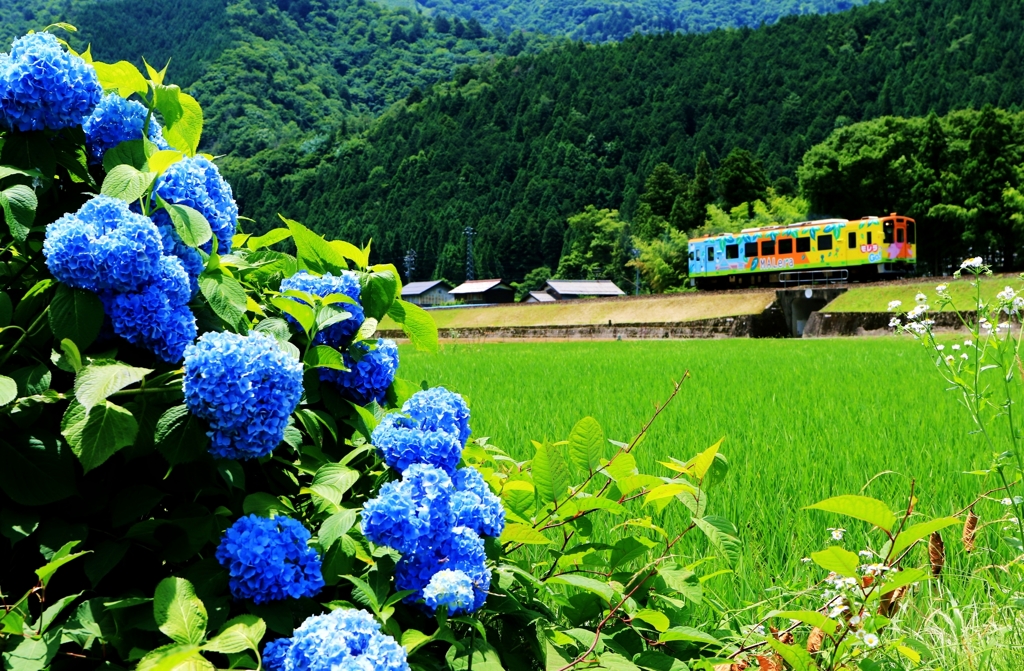 里山の彩り