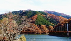 紅葉の架け橋