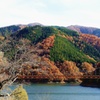 紅葉の架け橋