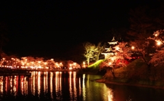 高田城址公園 夜桜