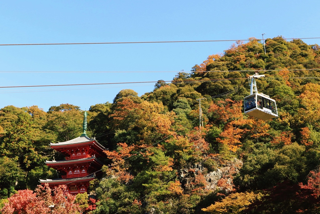 紅葉の空中散歩