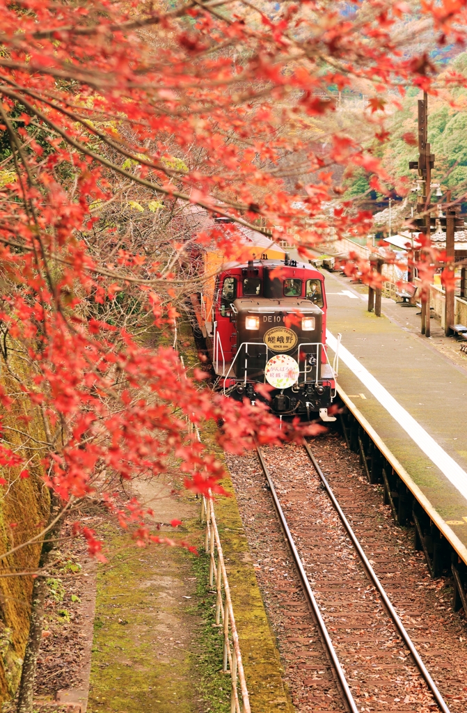 紅葉路