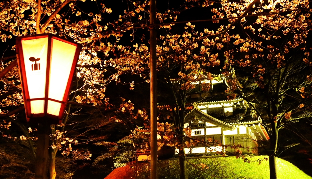 上越の夜桜
