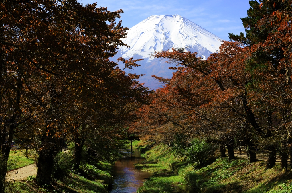 晩秋の忍野村