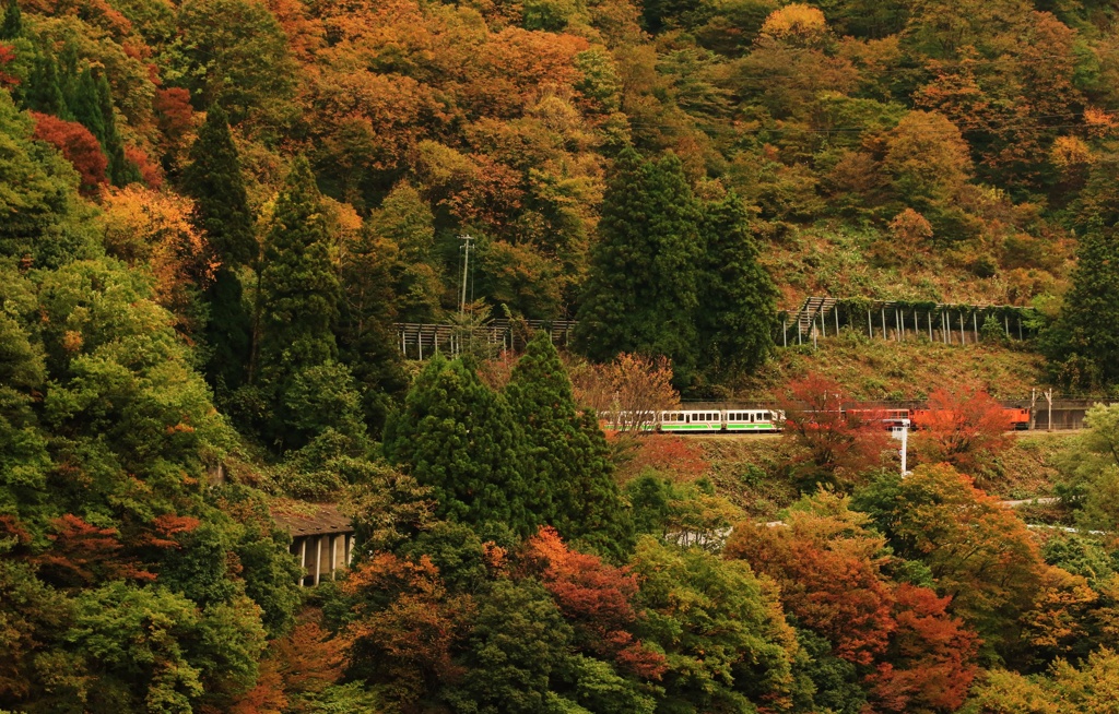 秋の黒部峡谷