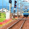 彼岸花咲く三岐線沿線