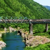 初夏の高山本線