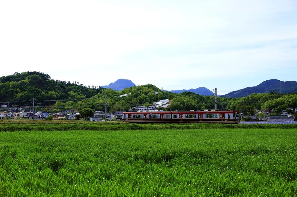 別所線 田園風景