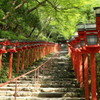 貴船神社　参道