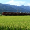 稲穂実る養老鉄道沿線