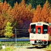 秋 おくみの号
