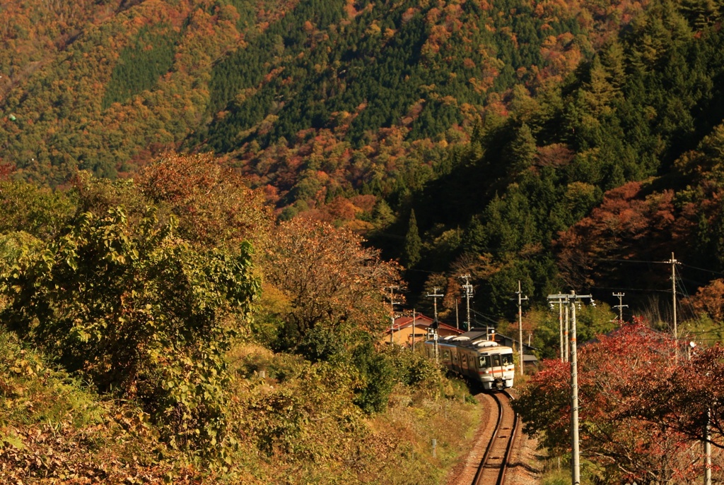 ローカル線 紅葉の旅