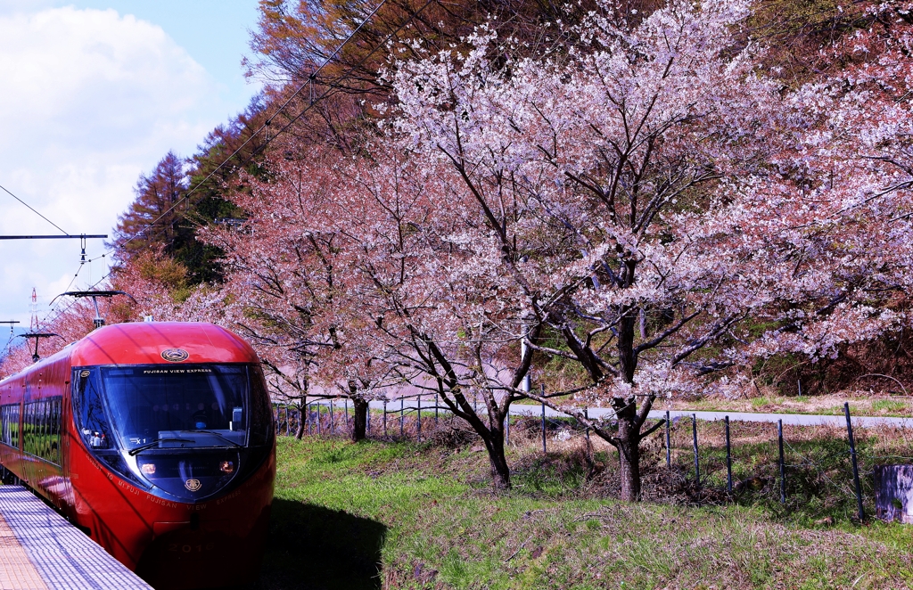富士山ビュー特急＆桜