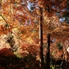 秋の彩り 水路閣
