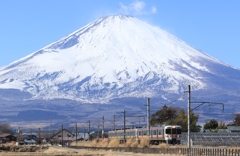 富士山の裾野を走る