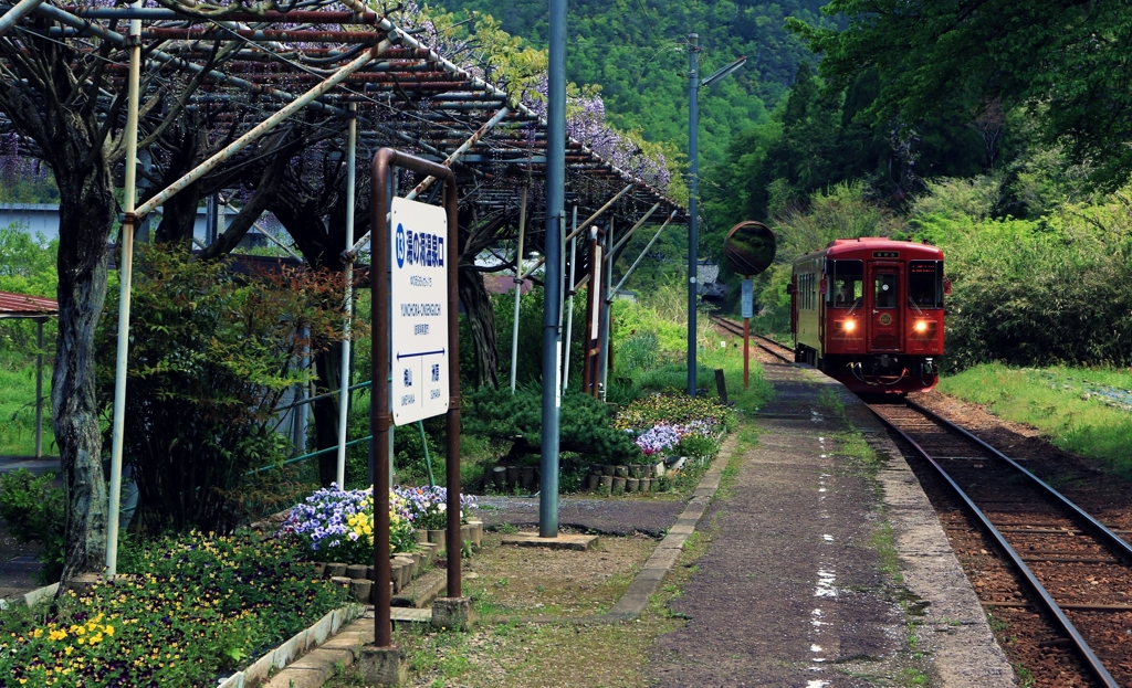 藤棚の駅