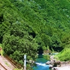 夏山