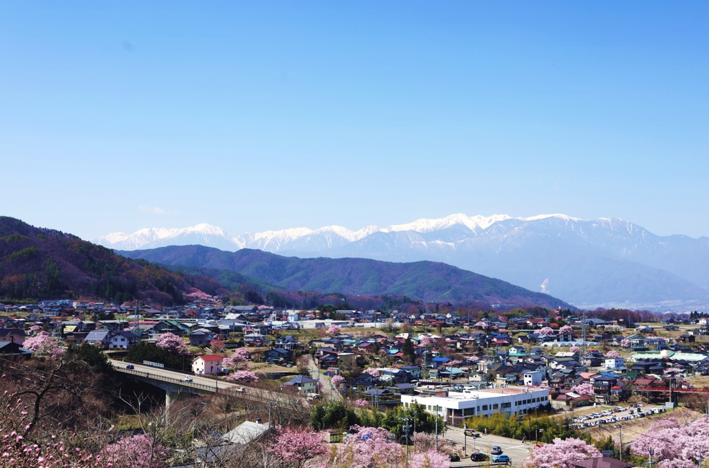 桜の街 高遠