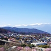 桜の街 高遠