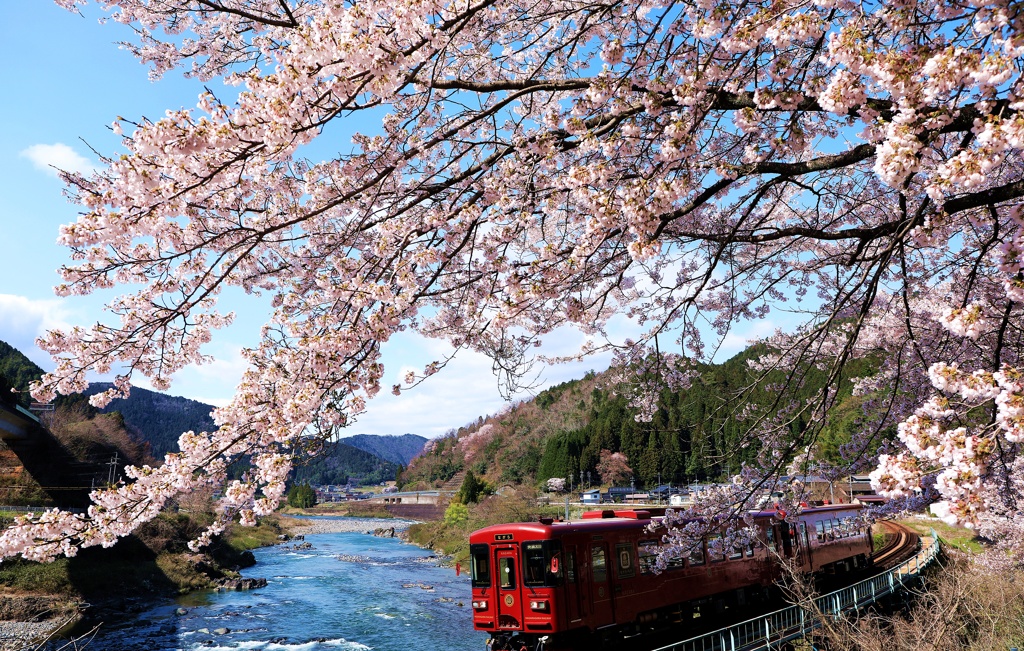 清流の春