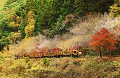 嵯峨野 トロッコ列車