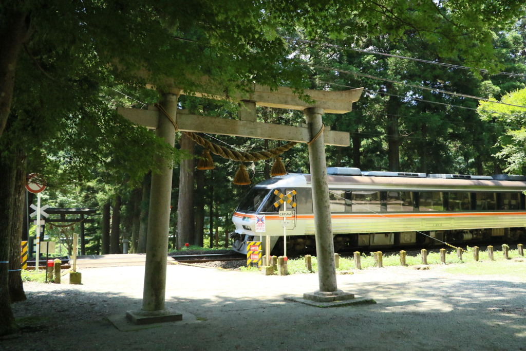 鳥居の間を駆け抜ける高山本線