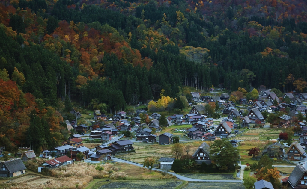 晩秋の白川郷