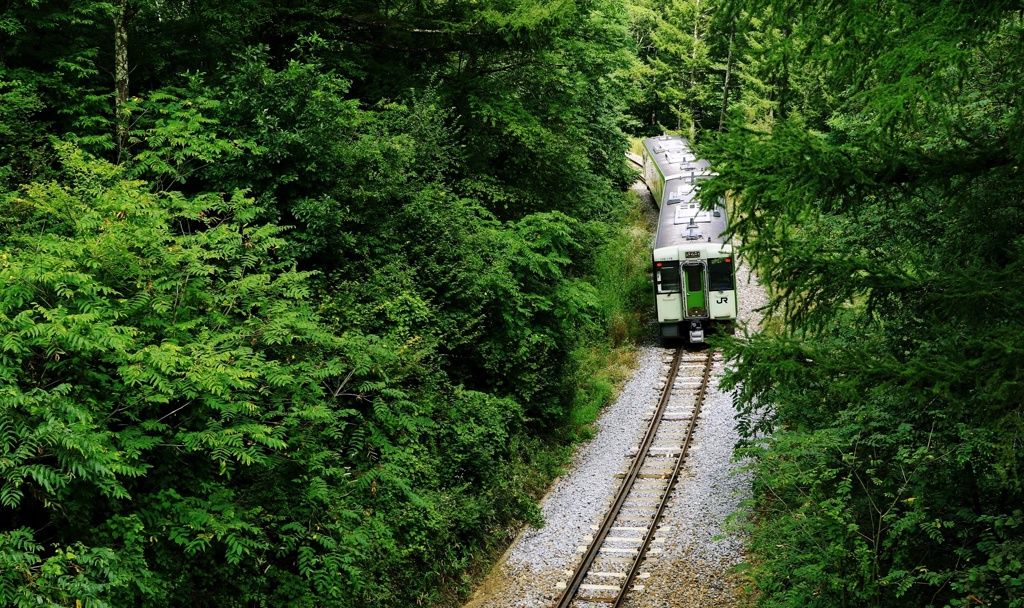 駆け抜ける高原鉄道