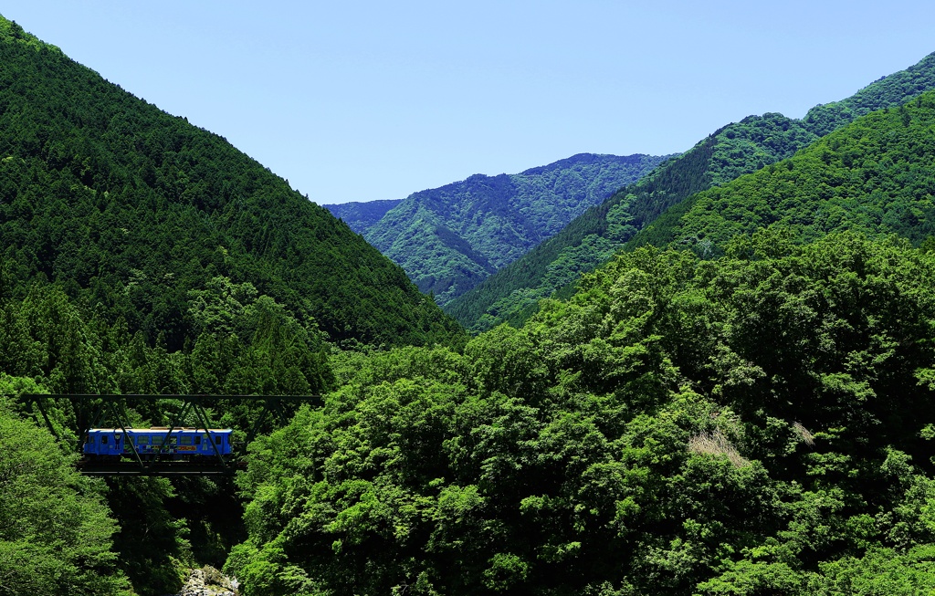 新緑の鉄橋