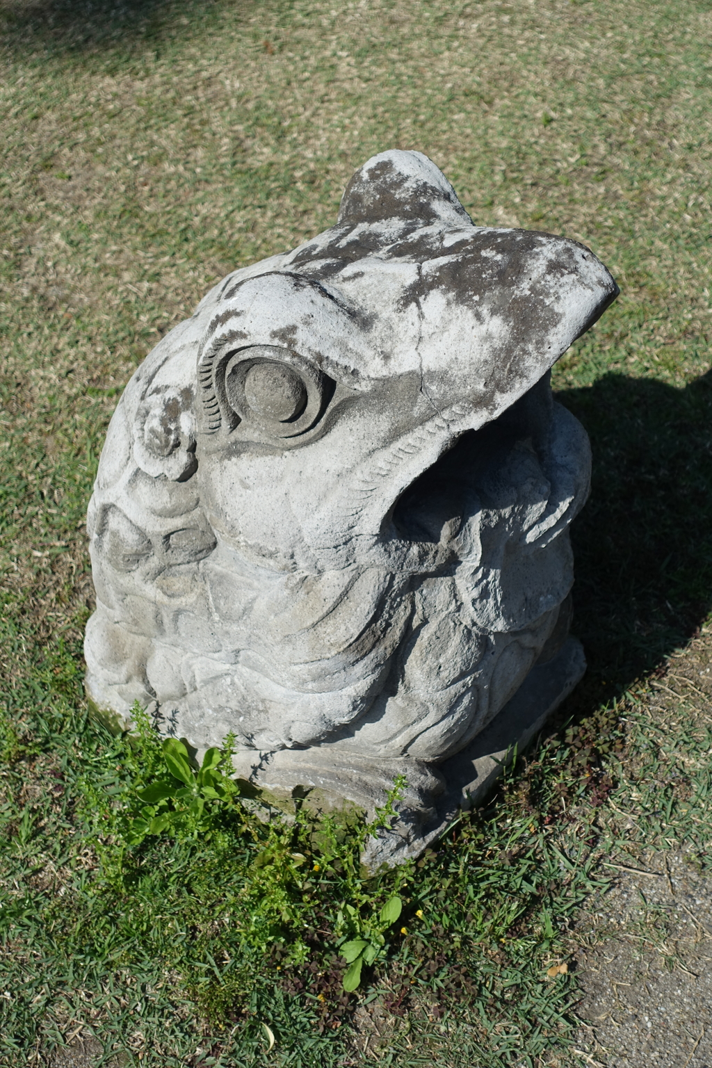 DSC00447