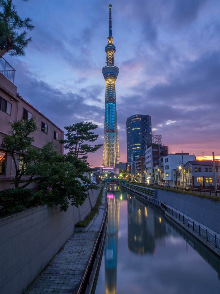 スカイツリーと夕景