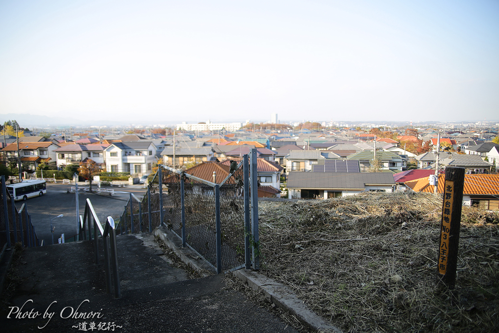 北野台緑地 No3