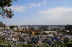 高台
