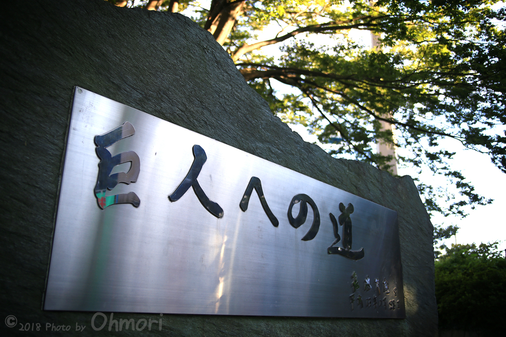 IMG_1084 のコピー