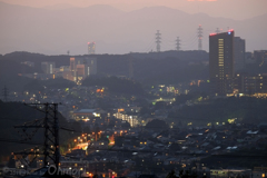 DSCF5594 のコピー