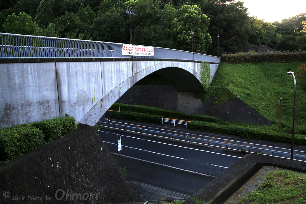 IMG_1097 のコピー