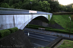 IMG_1097 のコピー