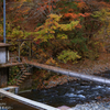 吊り橋